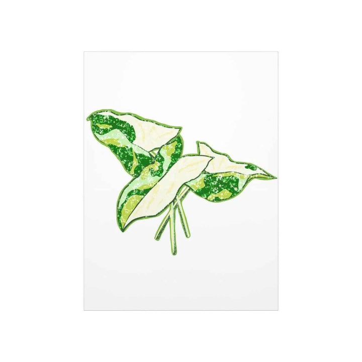Marble Syngonium Print – Botanical Wall Art on Museum Grade Paper | Matte Finish Unframed