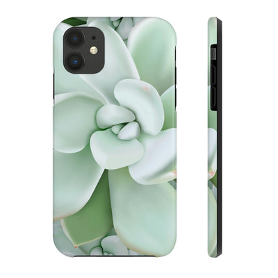 Pachyveria Haagei Succulent Phone Case, Phone Case, Printify, Accessories, Glossy, iPhone Cases, Matte, Phone accessory, Phone Cases, Samsung Cases, Laura Christine Photography & Design, laurachristinedesign.com