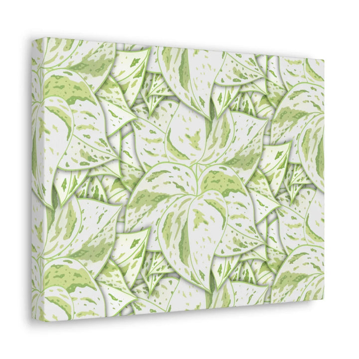 Snow Queen Pothos Canvas – Matte Finish Canvas Art Print | Variegated Botanical Wall Decor