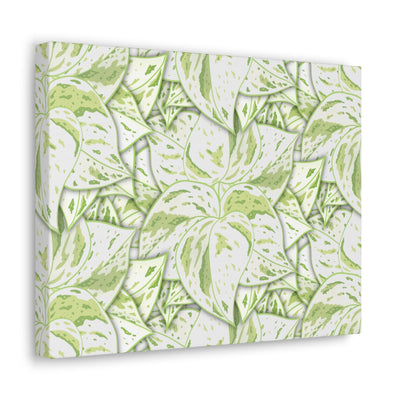 Snow Queen Pothos Canvas