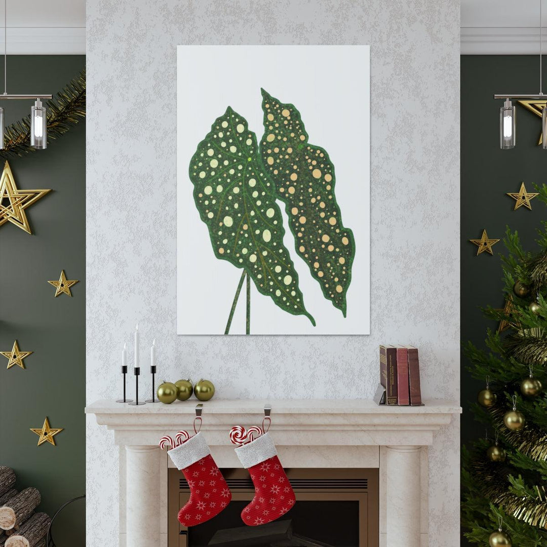 Begonia Maculata Canvas | Premium Canvas Art Print - Matte Finish, Durable Wall Decor - Laura Christine Photography & Design