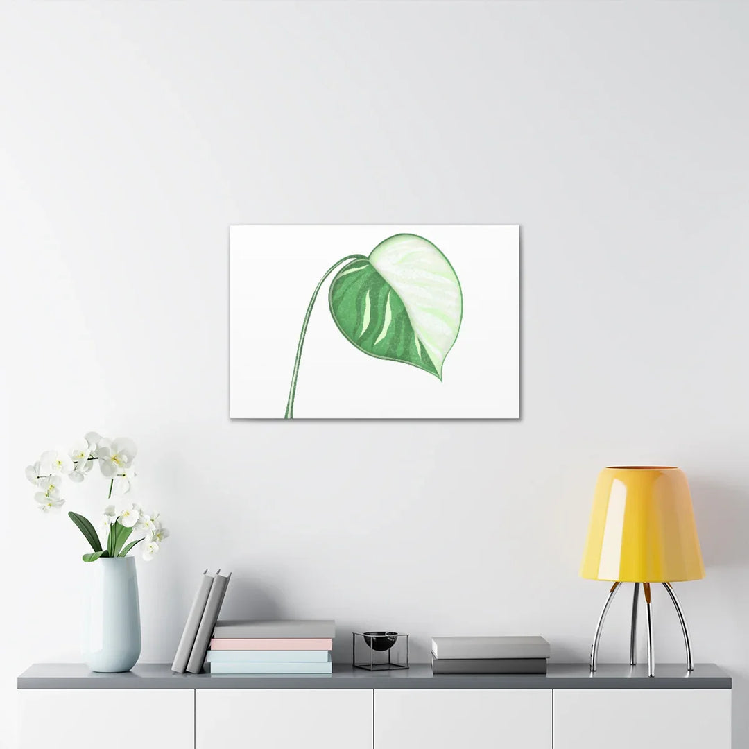 Monstera Albo Canvas | Large Tropical Leaf Artwork - Matte Finish Canvas Art Print - Laura Christine Photography & Design