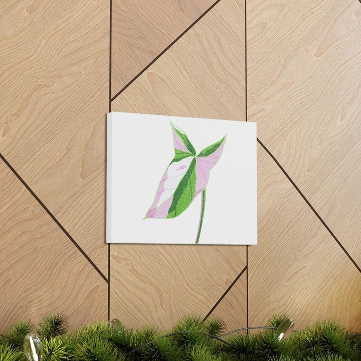 Syngonium Tricolor Canvas | Botanical Canvas Art Print With Matte Finish - Laura Christine Photography & Design