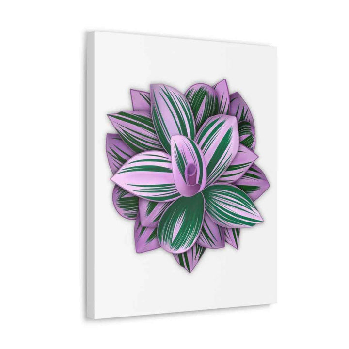 Tradescantia Nanouk Canvas – Botanical Canvas Art Print | Matte Finish Wall Decor