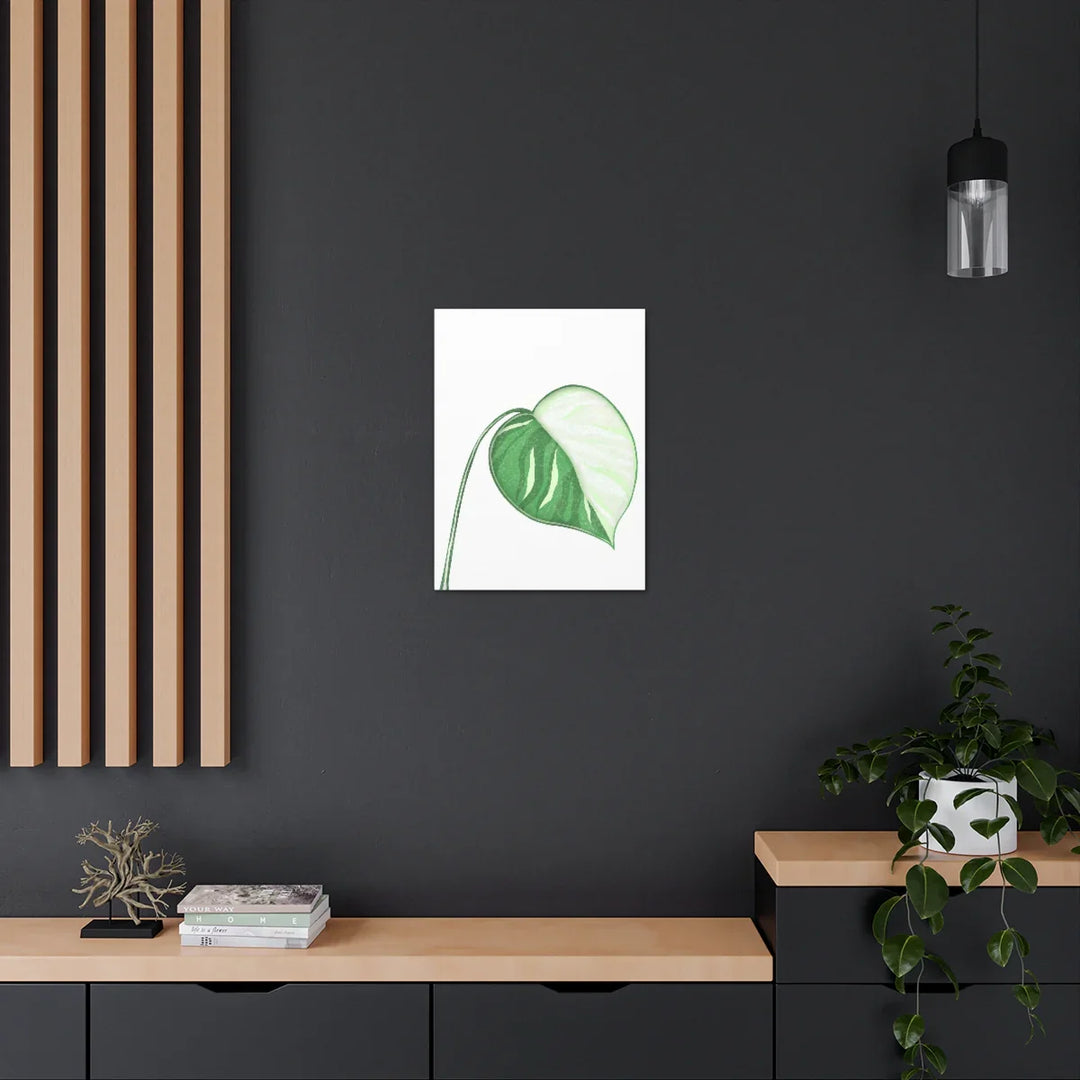 Monstera Albo Canvas | Large Tropical Leaf Artwork - Matte Finish Canvas Art Print - Laura Christine Photography & Design