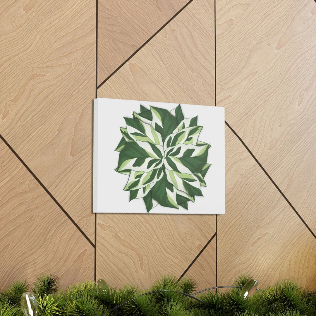Calathea White Fusion Canvas | Indoor Wall Art - Matte Finish Botanical Canvas Art Print - Laura Christine Photography & Design