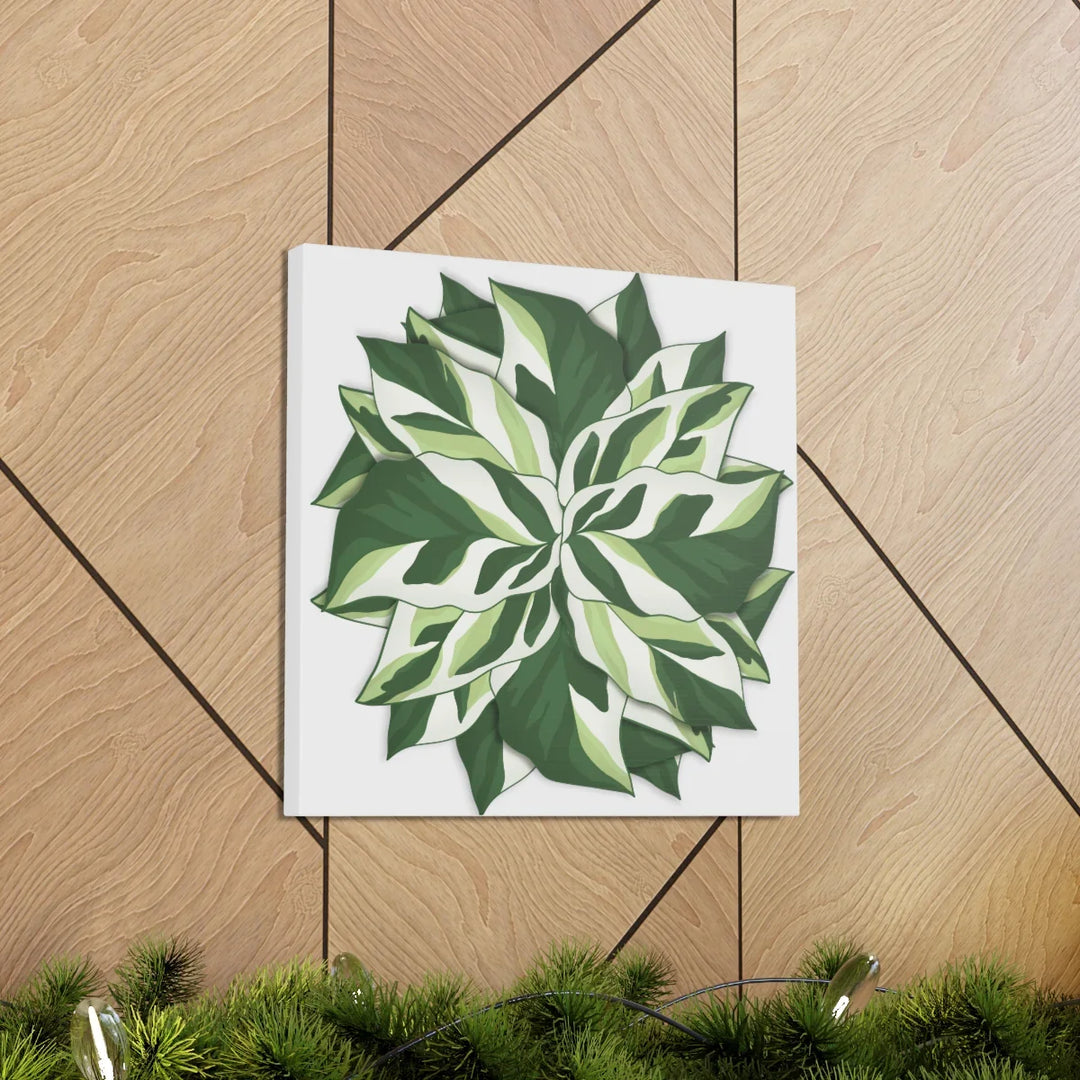Calathea White Fusion Canvas | Indoor Wall Art - Matte Finish Botanical Canvas Art Print - Laura Christine Photography & Design