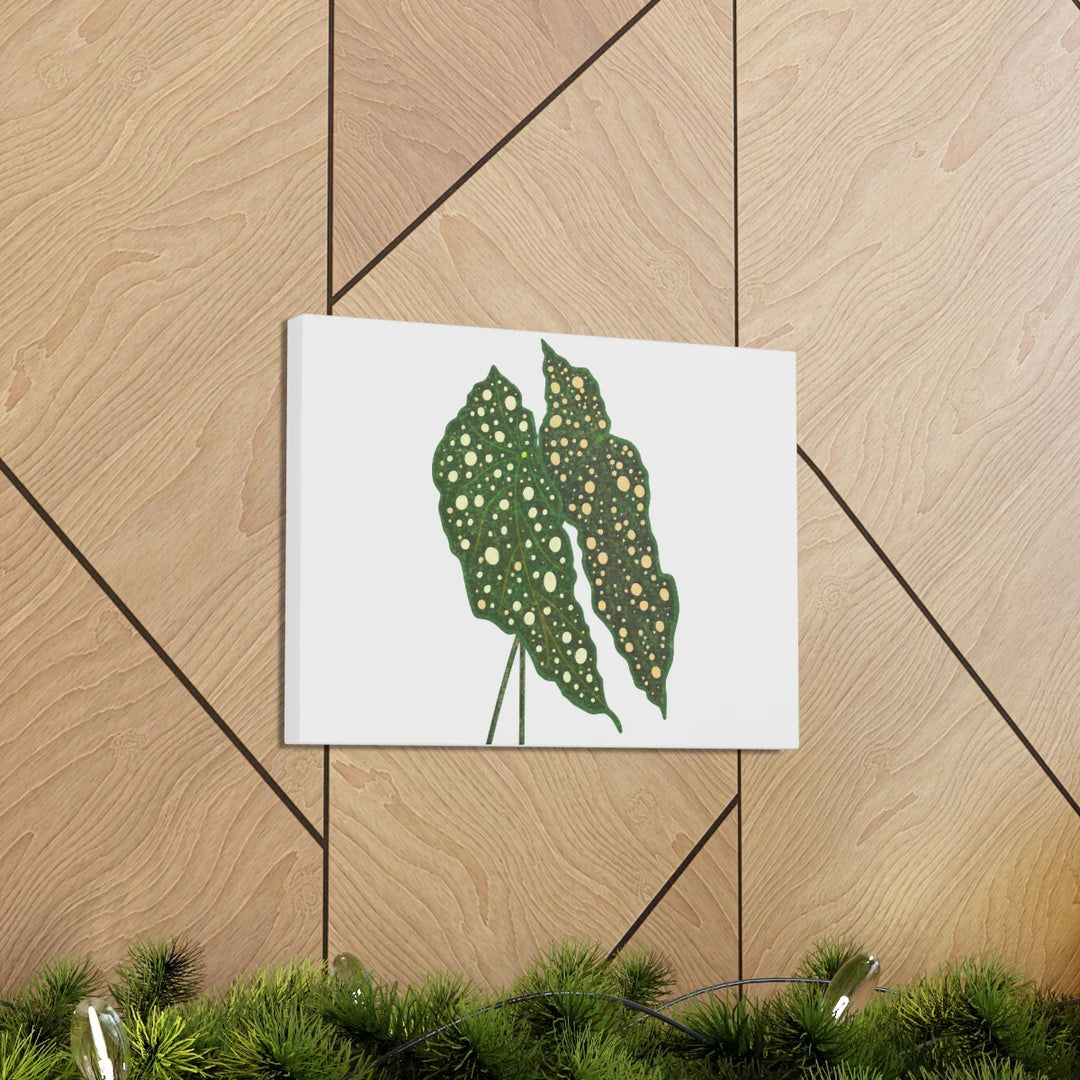 Begonia Maculata Canvas | Premium Canvas Art Print - Matte Finish, Durable Wall Decor - Laura Christine Photography & Design