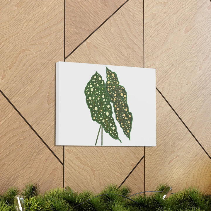 Begonia Maculata Canvas | Premium Canvas Art Print - Matte Finish, Durable Wall Decor - Laura Christine Photography & Design