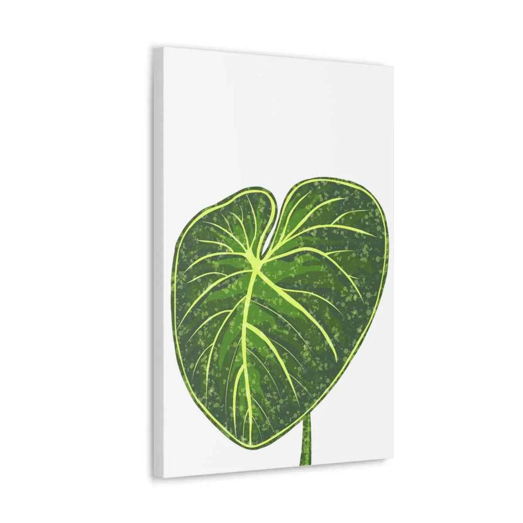 Philodendron Gloriosum Canvas - Stretched Canvas Art Print | Matte Indoor Wall Art