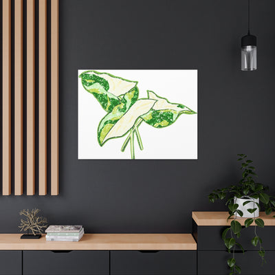 Marble Syngonium Canvas