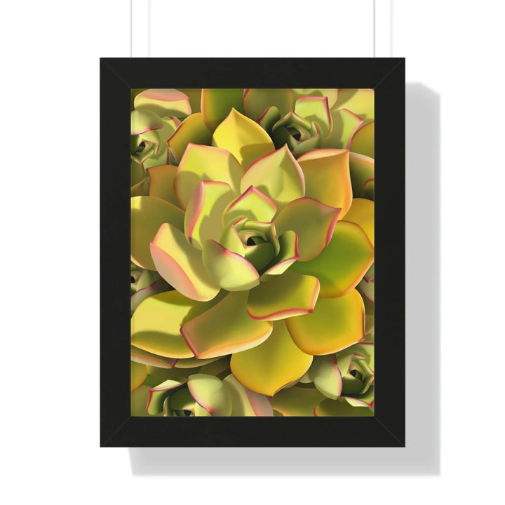 Noble Aeonium Succulent Pattern Framed Print, Poster, Printify, Framed, Home & Living, Indoor, Paper, Posters, Laura Christine Photography & Design, laurachristinedesign.com