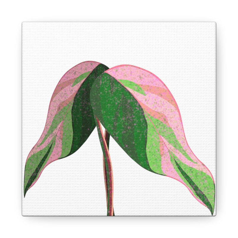 Pink Princess Philodendron Canvas, Canvas, Laura Christine Photography & Design, Art & Wall Decor, Canvas, Hanging Hardware, Home & Living, Indoor, Laura Christine Photography & Design, laurachristinedesign.com