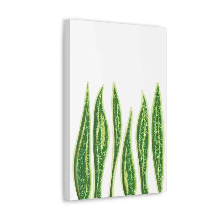 Snake Plant Canvas | Botanical Canvas Decor - Matte Finish Artwork for Living Room