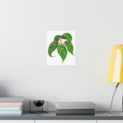 Aglaonema Sparkling Sarah Print