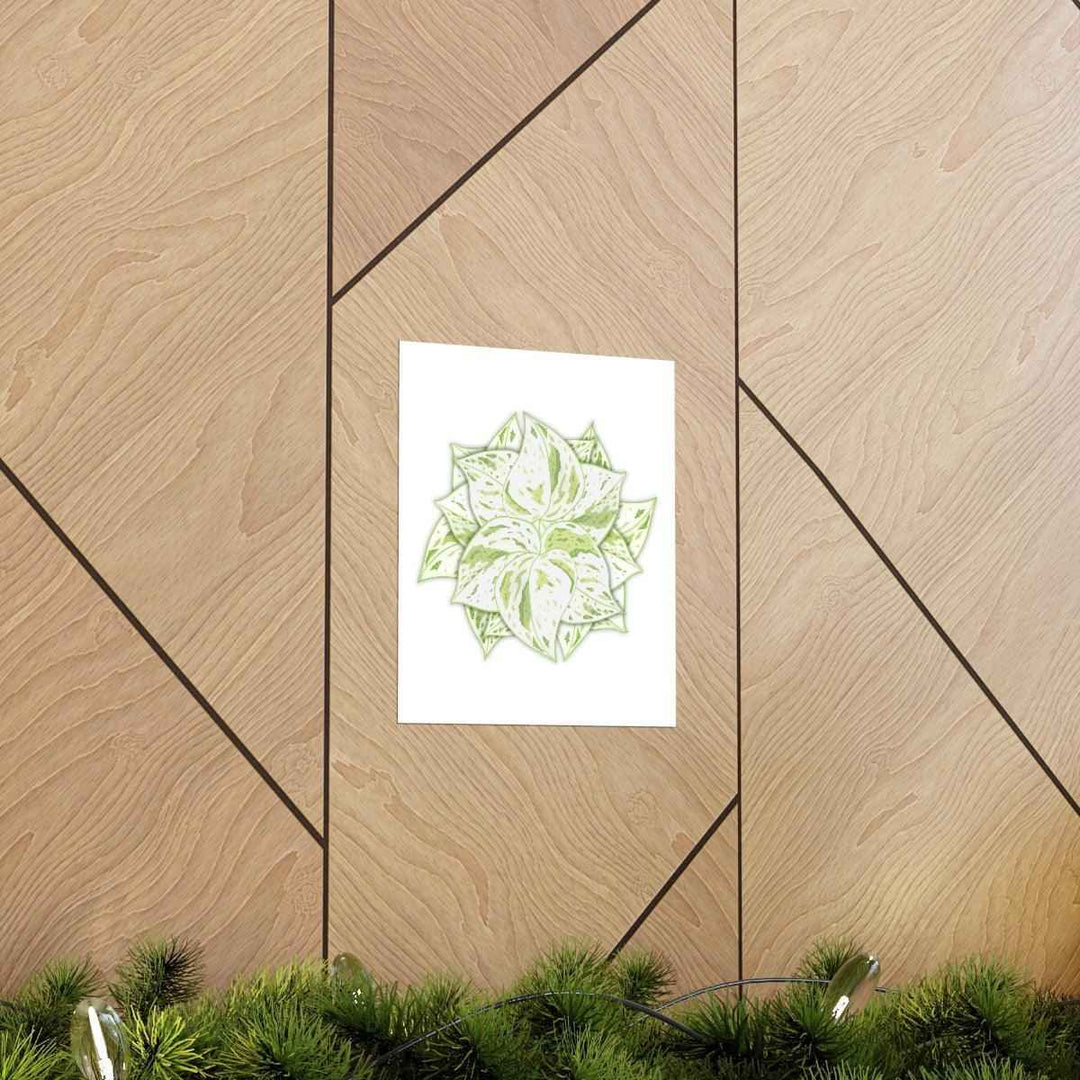 Snow Queen Pothos Print – Variegated Pothos Art on Museum Grade Paper Unframed