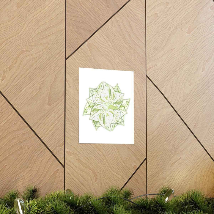 Snow Queen Pothos Print – Variegated Pothos Art on Museum Grade Paper Unframed