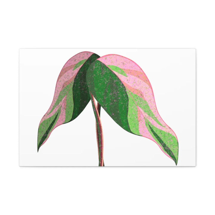 Pink Princess Philodendron Canvas Art Print – Botanical Wall Decor | Matte Finish