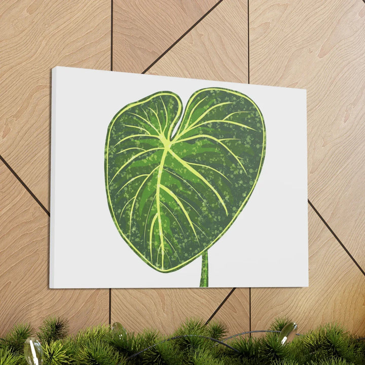 Philodendron Gloriosum Canvas - Stretched Canvas Art Print | Matte Indoor Wall Art - Laura Christine Photography & Design