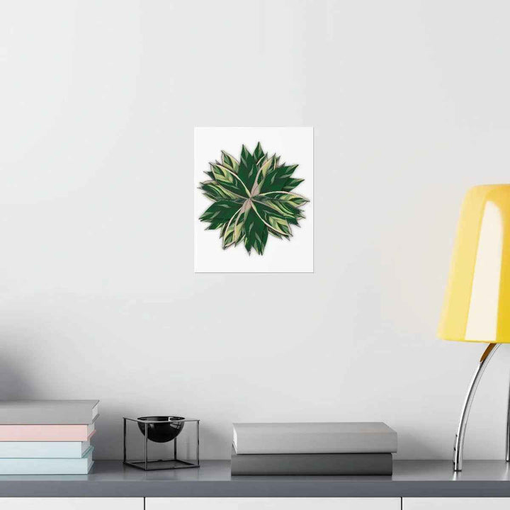 Stromanthe Triostar Print – Tropical Wall Art | Botanical Poster on Museum Grade Paper Unframed