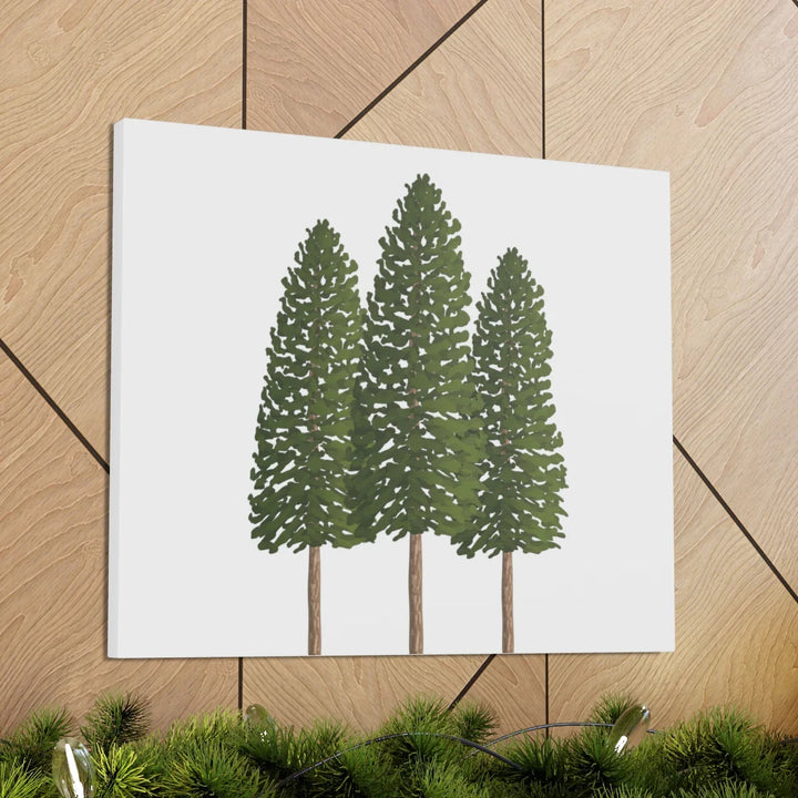Ponderosa Pine Canvas - Large Stretched Cotton Canvas Art Print With Matte Finish