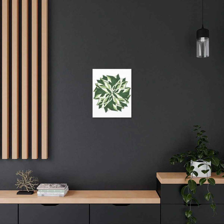 Calathea White Fusion Canvas | Indoor Wall Art - Matte Finish Botanical Canvas Art Print