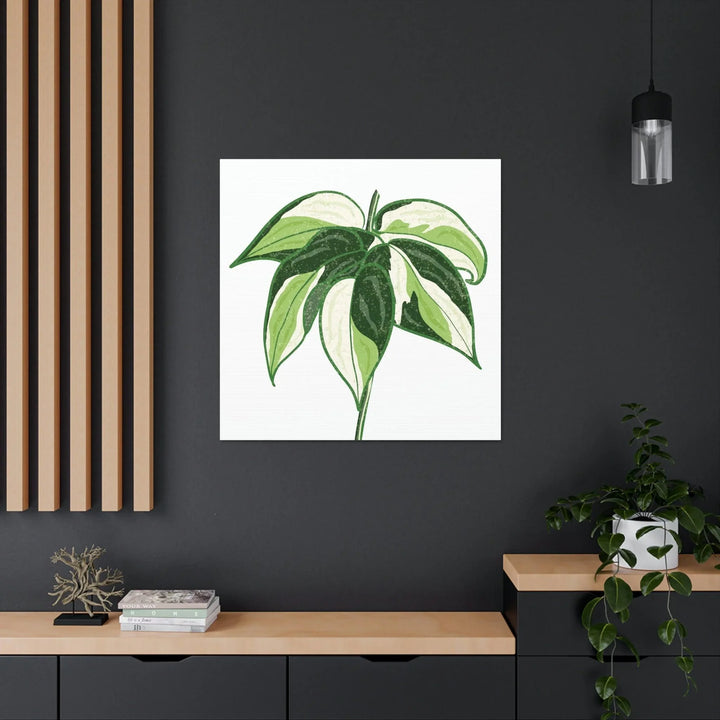 Philodendron 'Cream Splash' Canvas, Canvas, Printify, Art & Wall Decor, Canvas, Hanging Hardware, Home & Living, Indoor, Laura Christine Photography & Design, laurachristinedesign.com