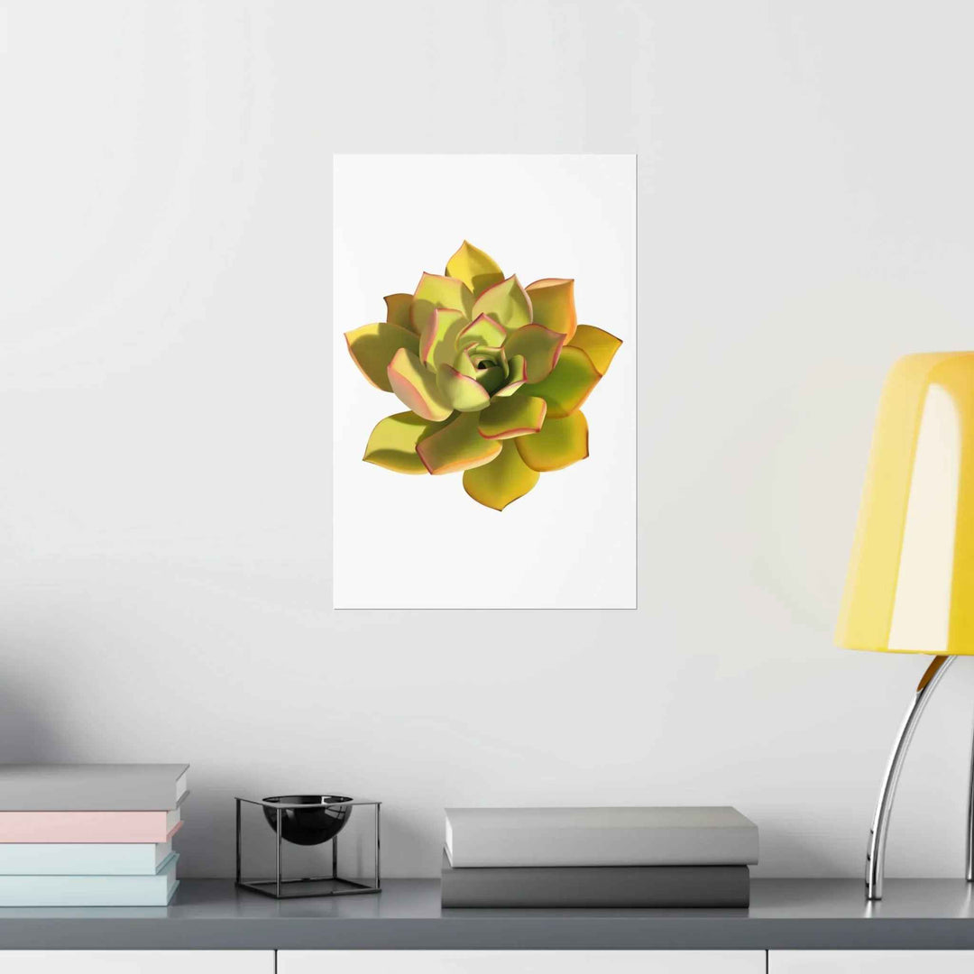POS Aeonium Print