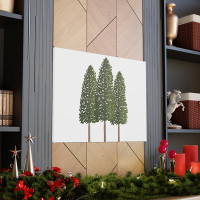 Ponderosa Pine Canvas