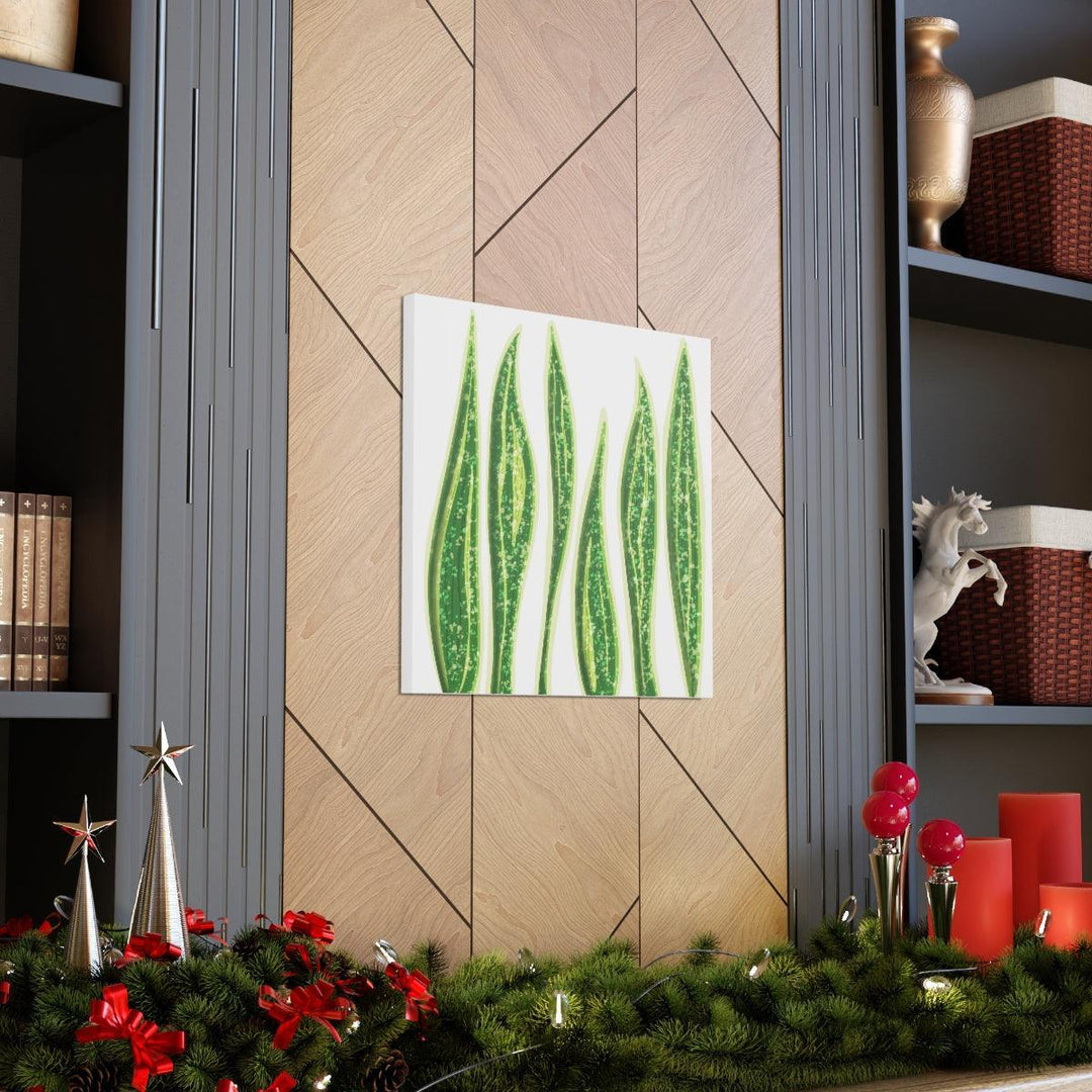 Snake Plant Canvas | Botanical Canvas Decor - Matte Finish Artwork for Living Room - Laura Christine Photography & Design