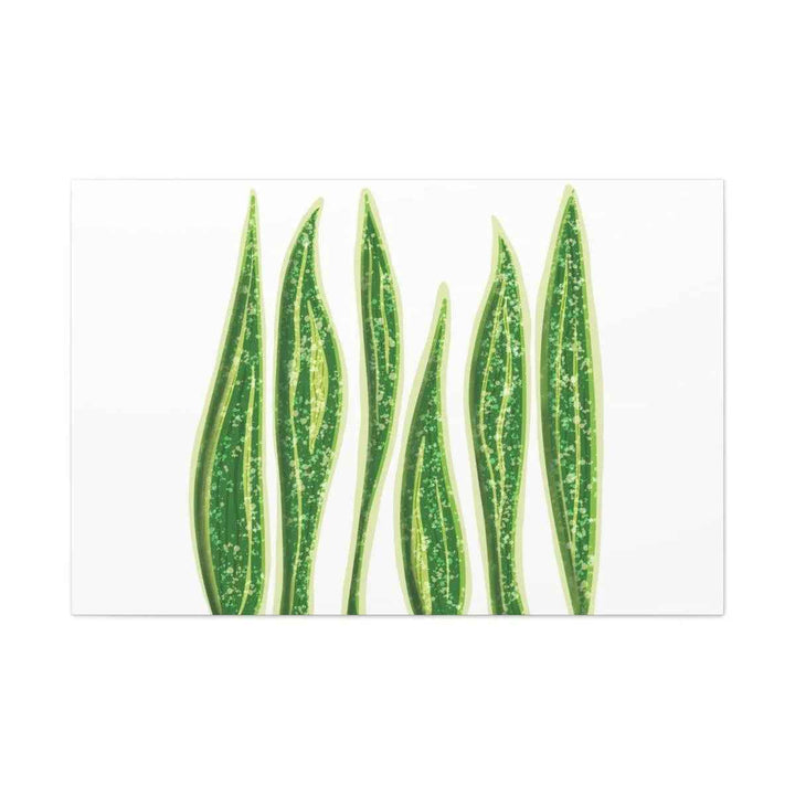 Snake Plant Canvas | Botanical Canvas Decor - Matte Finish Artwork for Living Room