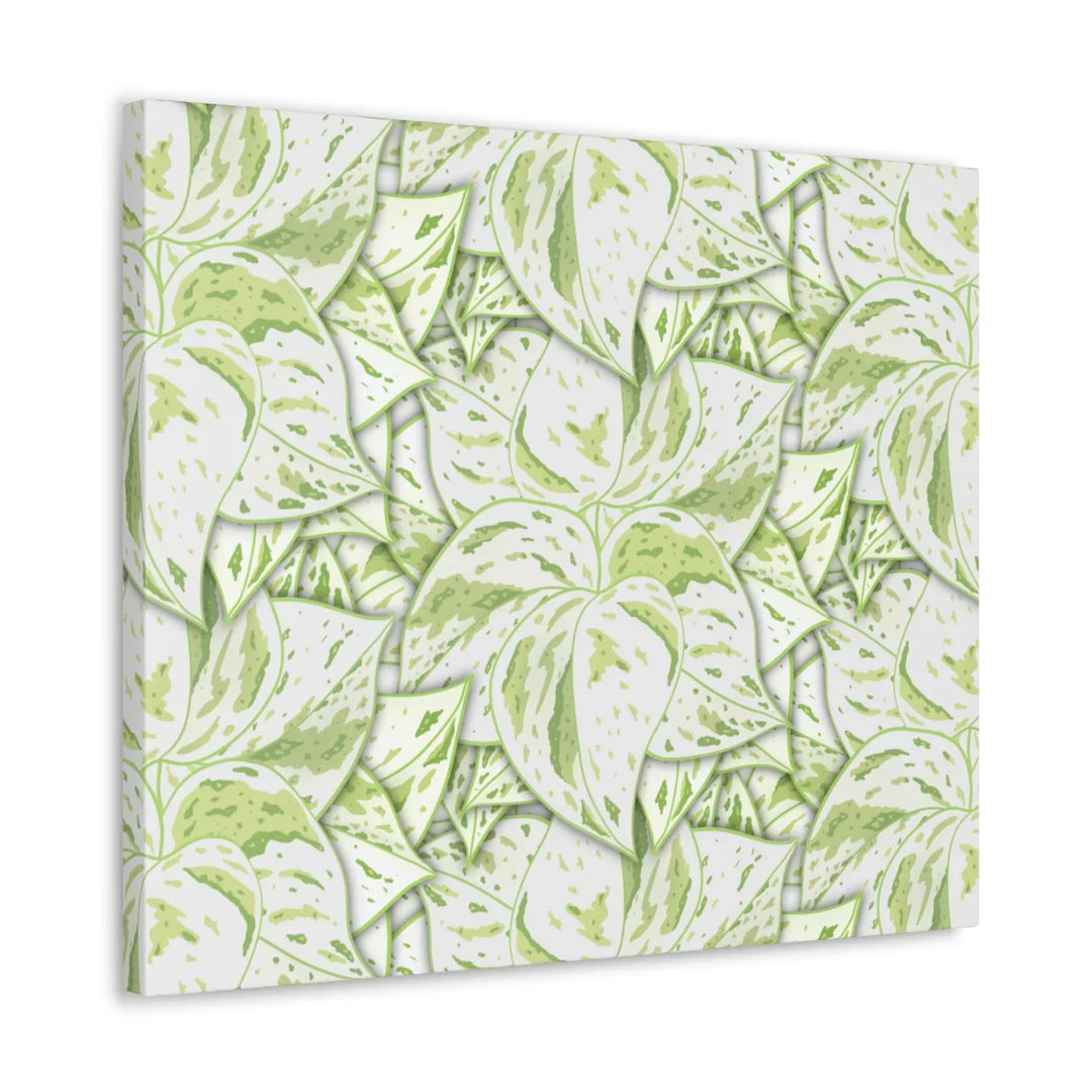 Snow Queen Pothos Canvas – Matte Finish Canvas Art Print | Variegated Botanical Wall Decor