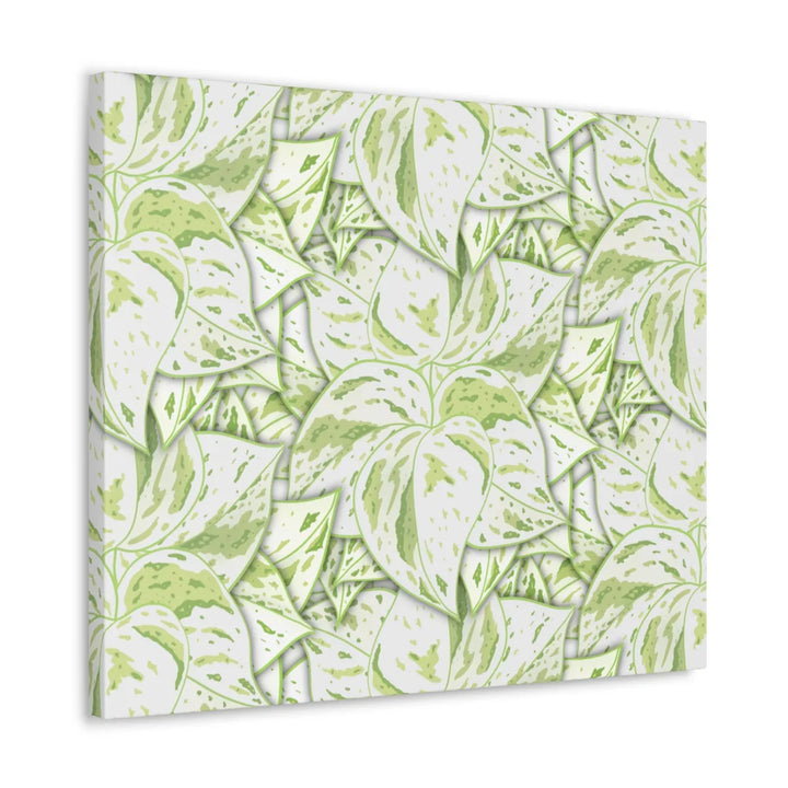 Snow Queen Pothos Canvas – Matte Finish Canvas Art Print | Variegated Botanical Wall Decor