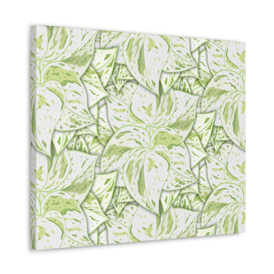 Snow Queen Pothos Canvas