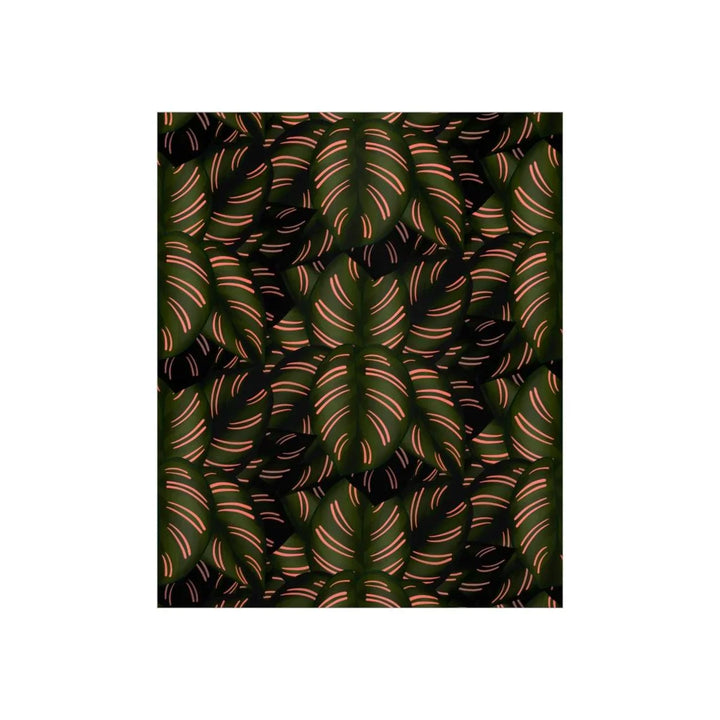 Calathea Pinstripe Print, Poster, Laura Christine Photography & Design, Back to School, Home & Living, Indoor, Matte, Paper, Posters, Valentine's Day promotion, Laura Christine Photography & Design, laurachristinedesign.com