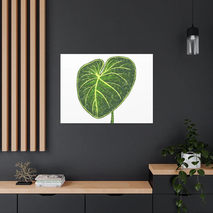Philodendron Gloriosum Canvas - Stretched Canvas Art Print | Matte Indoor Wall Art - Laura Christine Photography & Design