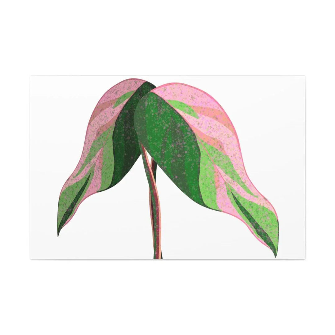 Pink Princess Philodendron Canvas, Canvas, Laura Christine Photography & Design, Art & Wall Decor, Canvas, Hanging Hardware, Home & Living, Indoor, Laura Christine Photography & Design, laurachristinedesign.com