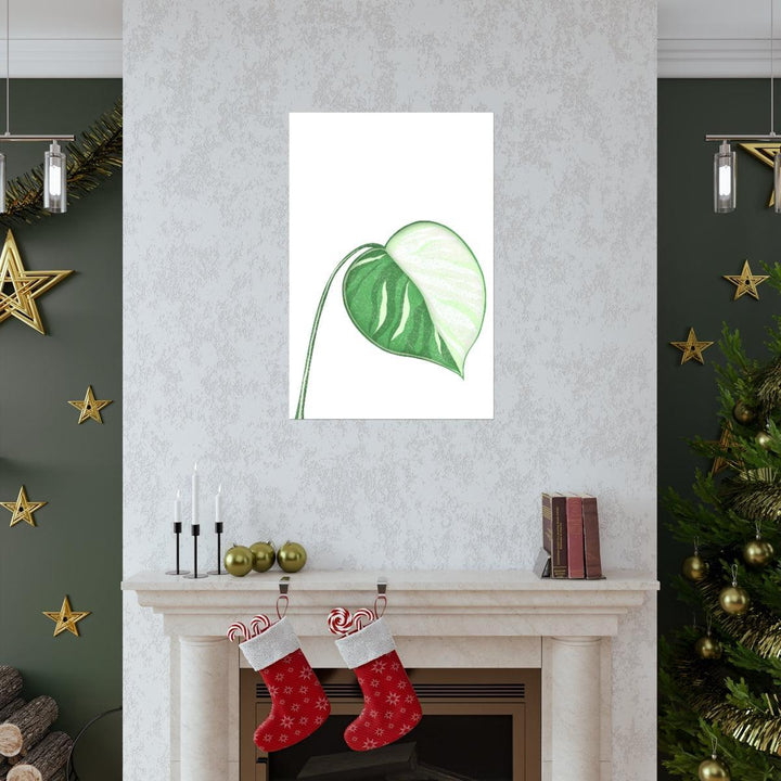 Monstera Albo Print, Poster, Laura Christine Photography & Design, Back to School, Home & Living, Indoor, Matte, Paper, Posters, Valentine's Day promotion, Laura Christine Photography & Design, 