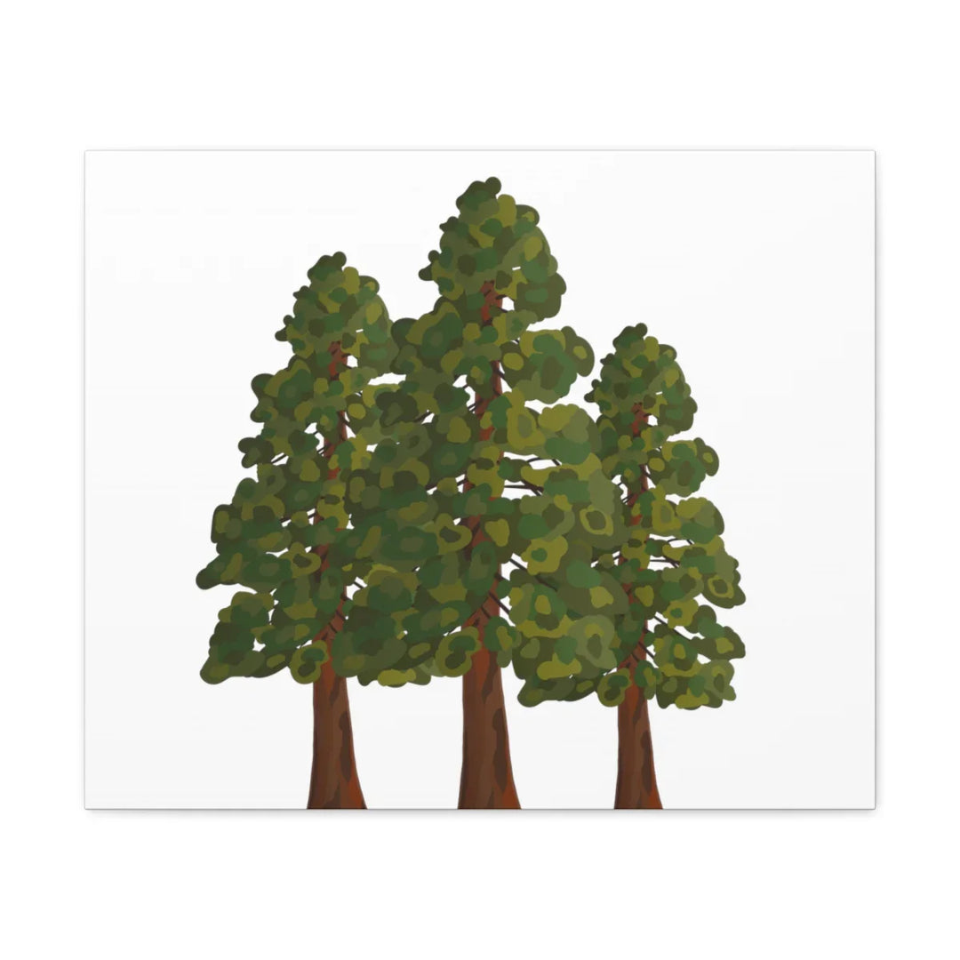 Coastal Redwoods Canvas - Stretched Cotton Canvas Art Print | Matte Finish Wall Hanging Artwork
