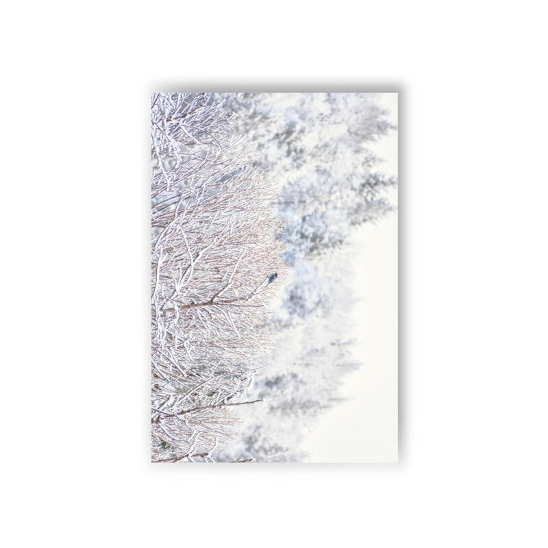 Blue Bird in a Snowy Forest - Postcard, 10-pack, Paper products, Printify, Back to School, Home & Living, Indoor, Matte, Paper, Posters, Laura Christine Photography & Design, laurachristinedesign.com