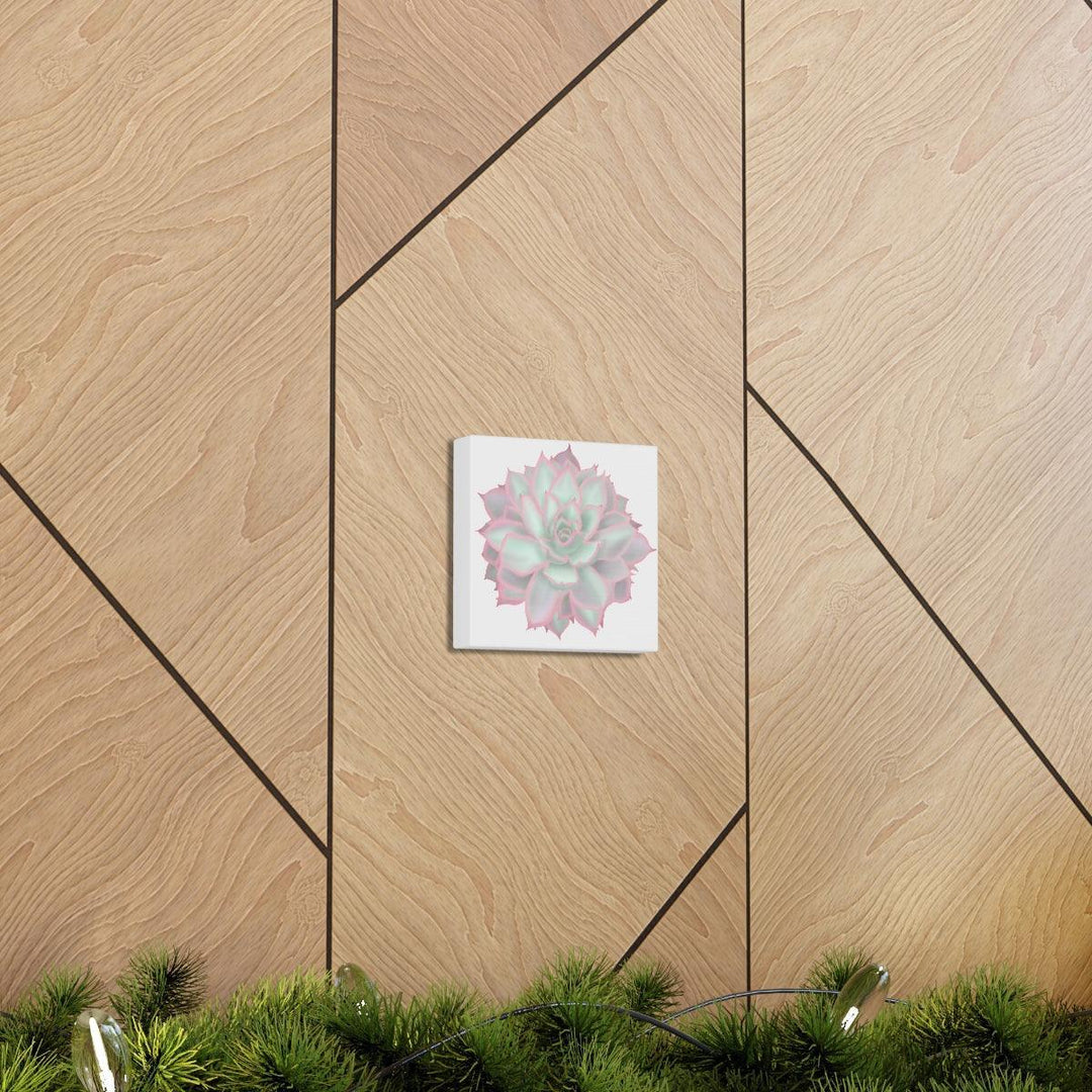 Echeveria Violet Queen Succulent Canvas, Canvas, Laura Christine Photography & Design, Art & Wall Decor, Canvas, Hanging Hardware, Home & Living, Indoor, Laura Christine Photography & Design, laurachristinedesign.com