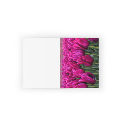 Magenta Tulips Photo Greeting Card, Paper products, Printify, Greeting Card, Holiday Picks, Home & Living, Paper, Postcard, Postcards, Laura Christine Photography & Design, laurachristinedesign.com