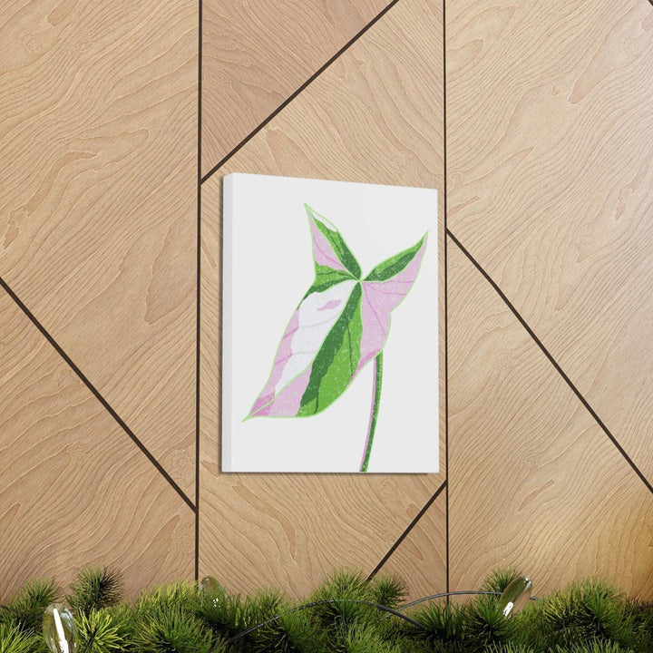 Syngonium Tricolor Canvas | Botanical Canvas Art Print With Matte Finish - Laura Christine Photography & Design