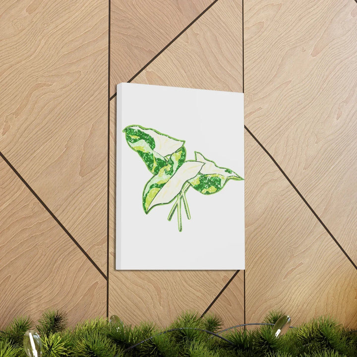 Marble Syngonium Canvas - Botanical Canvas Art Print | Durable Cotton Matte Finish - Laura Christine Photography & Design