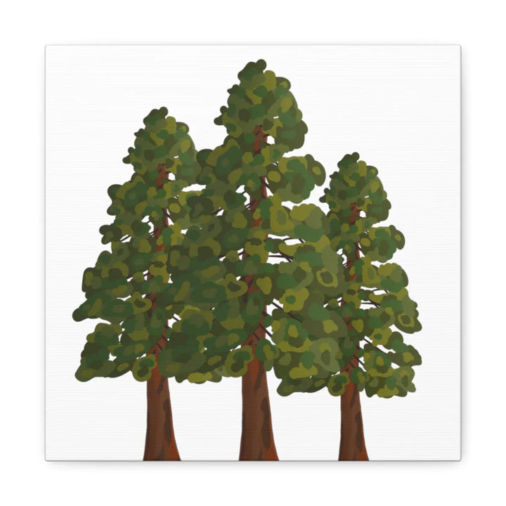 Coastal Redwoods Canvas - Stretched Cotton Canvas Art Print | Matte Finish Wall Hanging Artwork