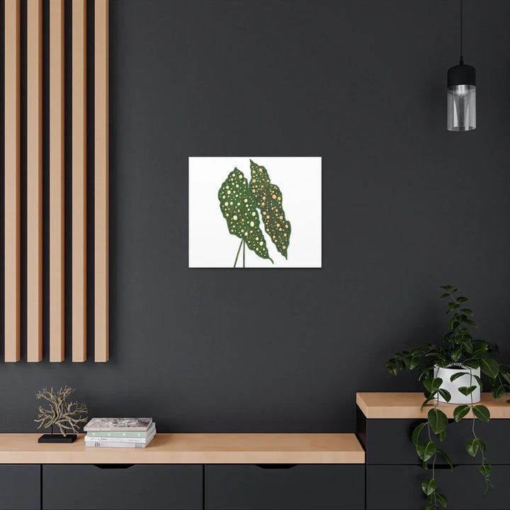 Begonia Maculata Canvas | Premium Canvas Art Print - Matte Finish, Durable Wall Decor - Laura Christine Photography & Design