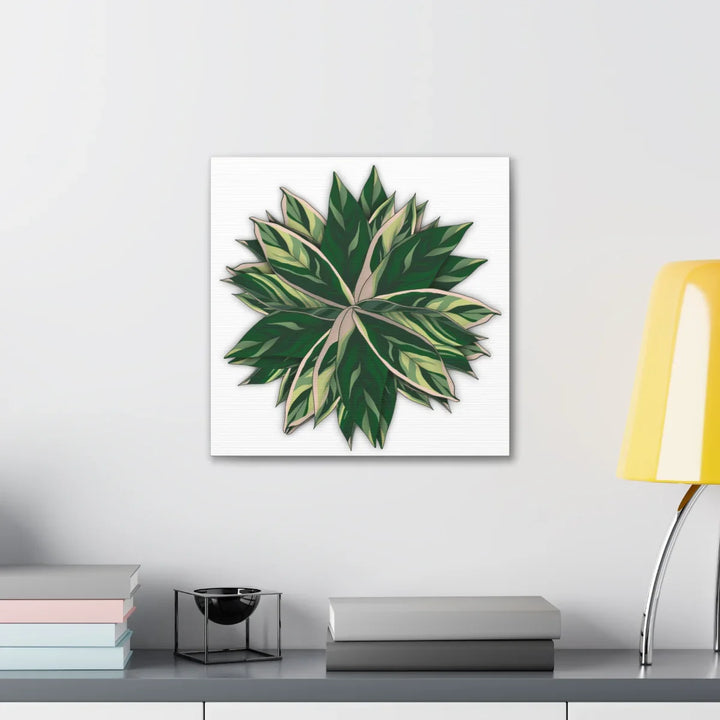 Stromanthe Triostar Canvas - Pastel Stripe Canvas Art Print With Vivid Color Artwork - Laura Christine Photography & Design