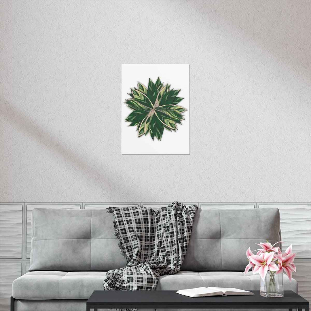 Stromanthe Triostar Print – Tropical Wall Art | Botanical Poster on Museum Grade Paper Unframed