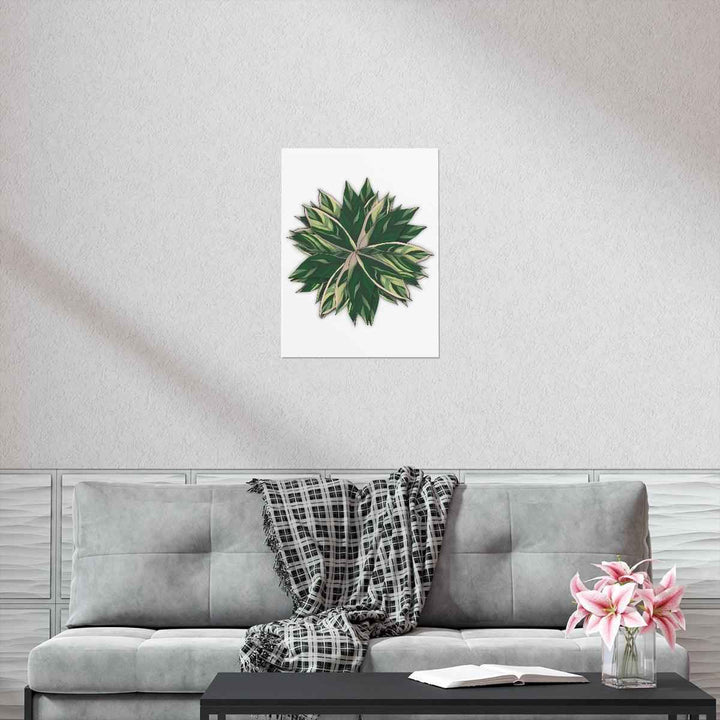 Stromanthe Triostar Print – Tropical Wall Art | Botanical Poster on Museum Grade Paper Unframed