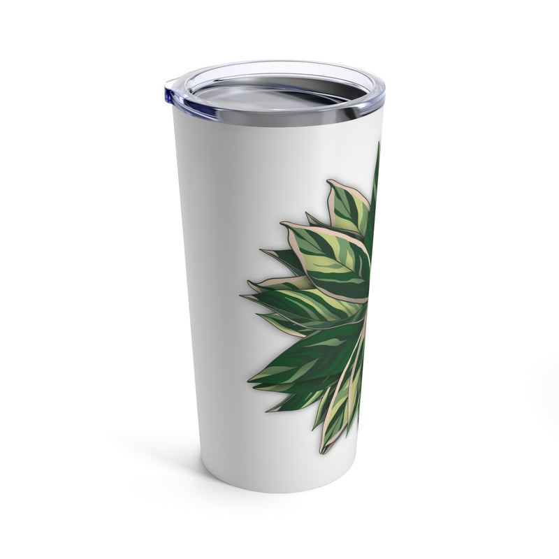 Stromanthe Triostar Tumbler